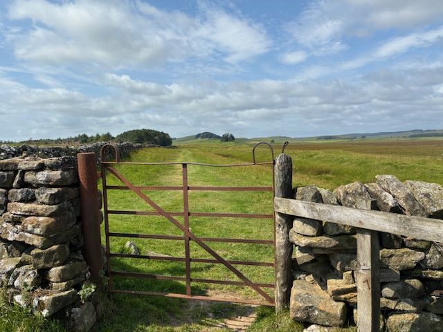 Hadrian's wall summer